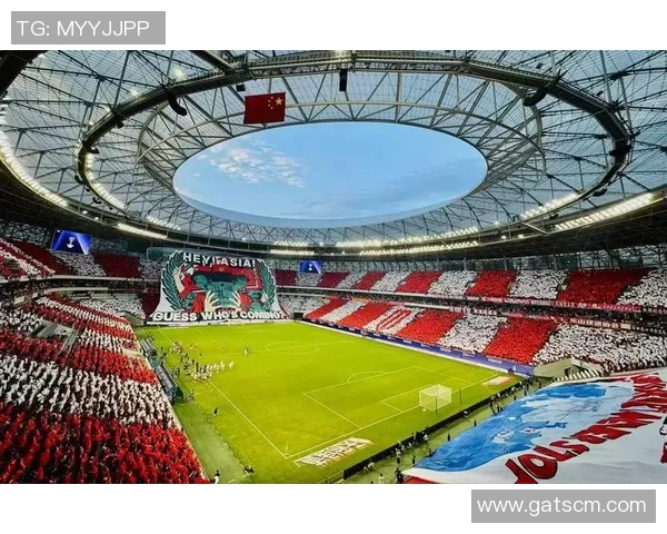 全球最大的足球场揭秘及其背后的历史与文化意义